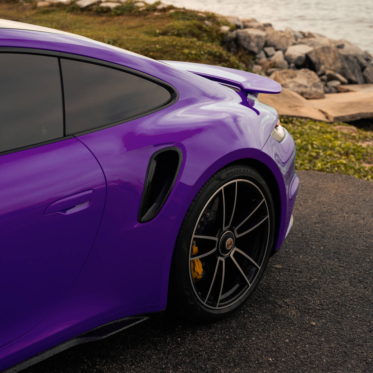 Purple gloss